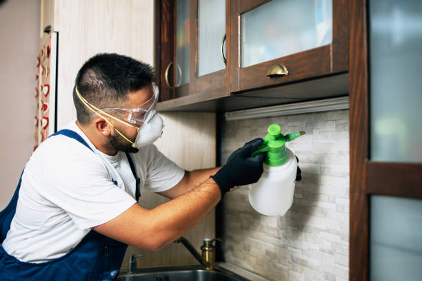 Best Exterminator Services  in Royal Palm Estates, FL