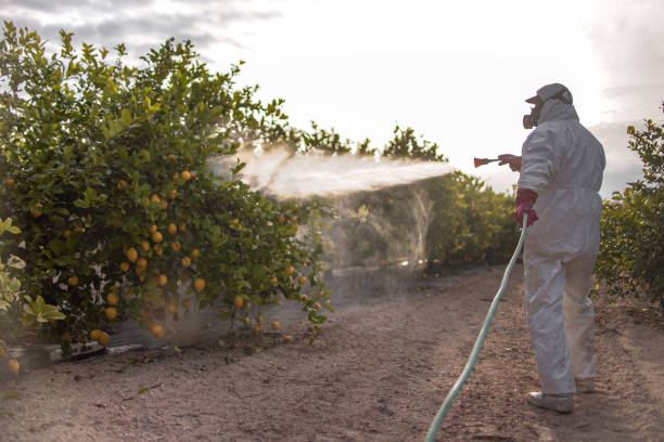 Best Residential Pest Control  in Royal Palm Estates, FL
